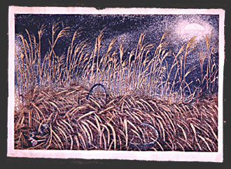 Josh Rome, woodblock artist
