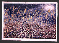 Josh Rome - traditional woodblock prints