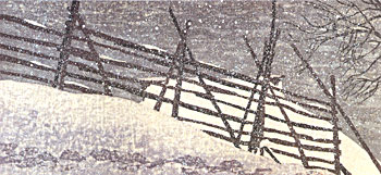 Joshua Rome, Japanese woodblock printmaker