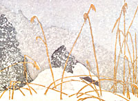 Joshua Rome, printmaker -woodblock prints of the real Japan